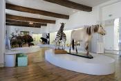 museum de histoire naturelle troyes 8-2025 2816